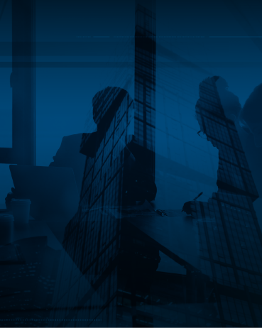 Professional Advisory Services